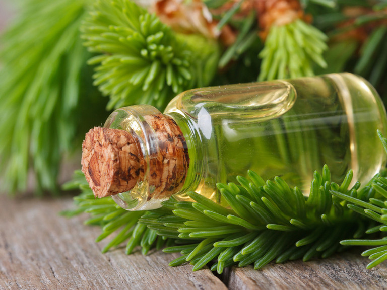 Bath of Spruce needles